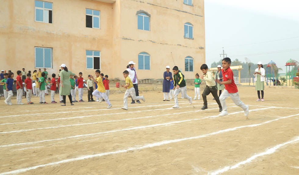 Sports Gallery