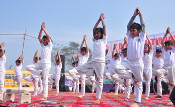 Yoga Gallery